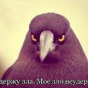 ���� ***�***, ����������� - ��������� 4 ���� 2014 � ������ ������ ��������