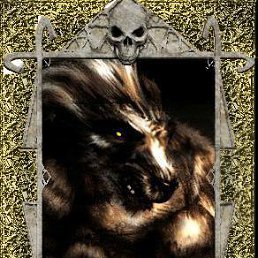 �����, ���������, 36 ���