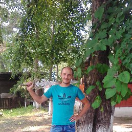 ���� ���������, �����������, 46 ��� - ��������� 8 ������� 2014