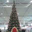 ���� ����, ��������� - ��������� 29 ��� 2014 � ������ ���� ����������