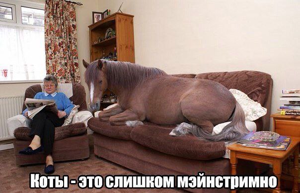 �������������� �� ���� �������� <a href=