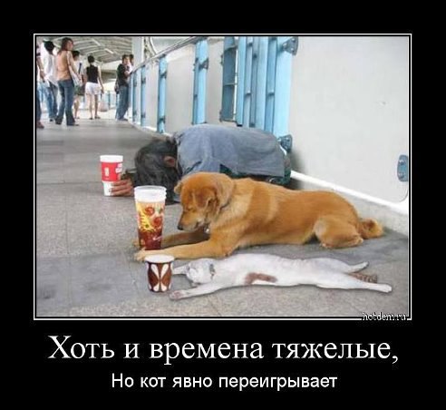 ���� - 26 ������ 2014 � 14:04