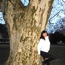  , -, 48  -  15  2014    