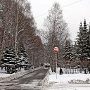  ...,  ...tanya,  -  17  2014    ,  