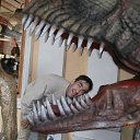 ���� �������, ������ �������, 50 ��� - ��������� 1 ���� 2014 � ������ ���� ����������