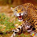���� ����, ���������, 50 ��� - ��������� 2 ���� 2014 � ������ ���� ����������