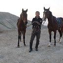 ���� ����, ���������, 42 ���� - ��������� 11 ������ 2014