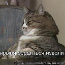  , , 46  -  19  2014   ))))