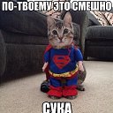 ���� ������, ������������, 29 ��� - ��������� 13 ������ 2014 � ������ ������ ��������
