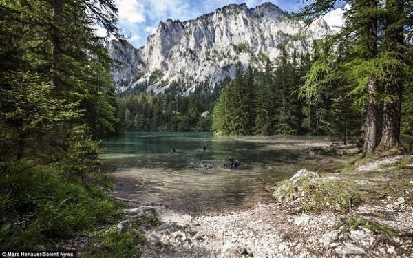 Подписывайтесь на нас: http://fotostrana.ru/public/233467 ;-) Подводный парк в Альпах.