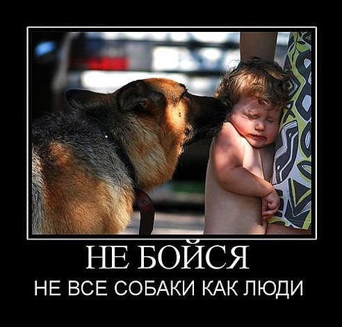 Vasiliys - 6  2014  22:06
