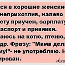 ���� �������, �����-���������, 38 ��� - ��������� 9 ��� 2014 � ������ ������ ��������