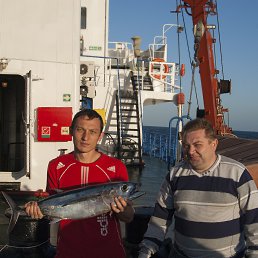  Vasiliy, --, 44  -  16  2014