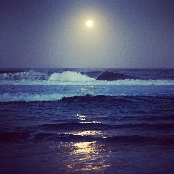 � ������� ���� - ���� �������.