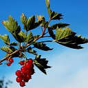 ���� 2014 �� ������� �� ��� - ��������!!!)))�