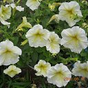  ,  -  26  2014     .