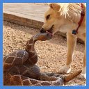  ,   -  13  2014    ?