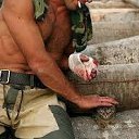 ���� ������, ��������������, 46 ��� - ��������� 5 ���� 2014 � ������ ������ ��������