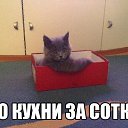 ���� �����, ��������, 31 ��� - ��������� 12 ������� 2014 � ������ ������ ��������