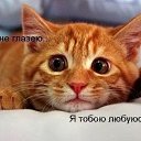 ���� �������, �������������, 46 ��� - ��������� 9 ���� 2014 � ������ ���� ����������