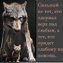 ���� ��������, ���������� - ��������� 3 ���� 2014 � ������ ������ ��������