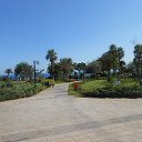  ,  , 55  -  29  2014     2014