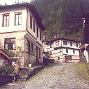 ���� �������, �����, 51 ��� - ��������� 19 ��� 2014 � ������ ����������