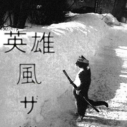 ���� ���������, �����-��������� - ��������� 5 ���� 2014