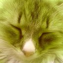 ���� �����, ������� - ��������� 11 ������ 2014 � ������ ������ ��������