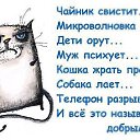 ���� ����, �����������, 65 ��� - ��������� 24 ���� 2014 � ������ ������ ��������