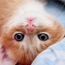 ���� ����, ������, 47 ��� - ��������� 30 ������ 2014 � ������ ������ ��������