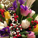 ���� Ninell, ������ - ��������� 22 ������� 2014 � ������ ���� ����������