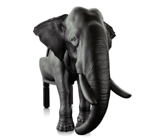   Animal Chair   Maximo Riera.        ... - 3