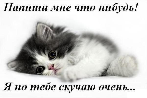 (  ,   - 6  2014  22:05