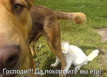 �������������� �� ���� �������� <a href=