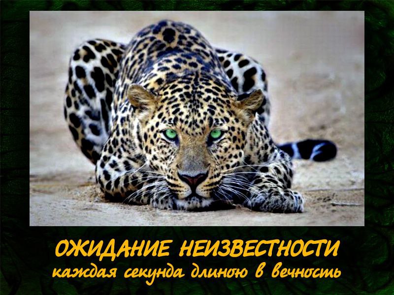  - 13  2014  21:14