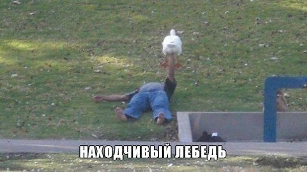   !  ! - 13  2014  20:55 - 4