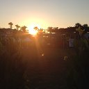  , , 55  -  2  2014     ....BELEK