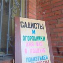  , , 49  -  17  2014   ....