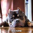 ���� �������, ������, 51 ��� - ��������� 27 ���� 2014 � ������ ������ ��������