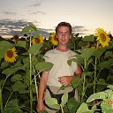 ���� ���, ������ ��������, 54 ���� - ��������� 2 ������� 2014 � ������ ���� ����������