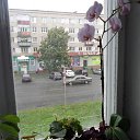 ��� ��������� �� ������� ���� ������� ������