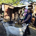  Stas, , 65  -  14  2014    