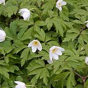 ���� ����, �����-���������, 57 ��� - ��������� 1 ��� 2014 � ������ �� �����