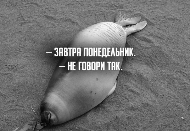 JPG - 3  2014  23:22
