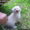 ���� ������, ��������� - ��������� 26 ���� 2014 � ������ ������ ��������
