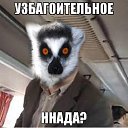 ���� ��������, ������������, 61 ��� - ��������� 21 ������� 2014 � ������ ������ ��������