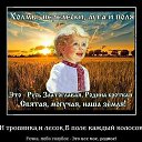 ���� ����, ��������� - ��������� 8 ��� 2014 � ������ ������ ��������
