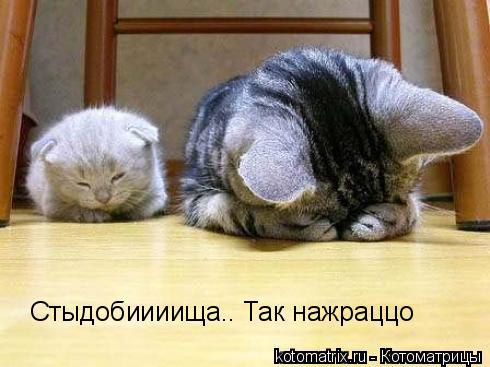 ���� ������� :3 - 1 ������� 2014 � 13:08
