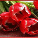 ���� ������, �������� - ��������� 20 ����� 2014 � ������ ���� ����������